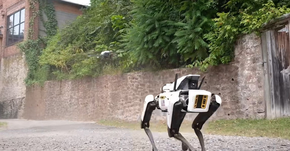 Robots Are Coming For All Jobs